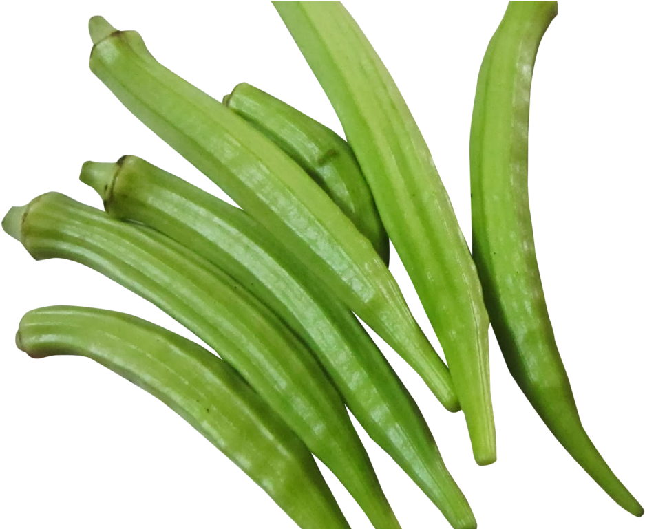 Fresh Okra Png Image - Okra Png (1024x768), Png Download