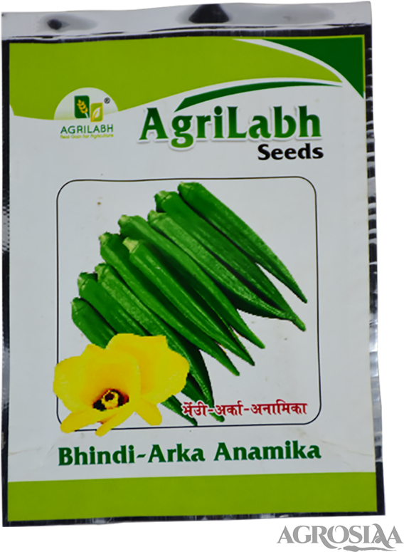 Agrilabh - Yellow Onion (600x800), Png Download
