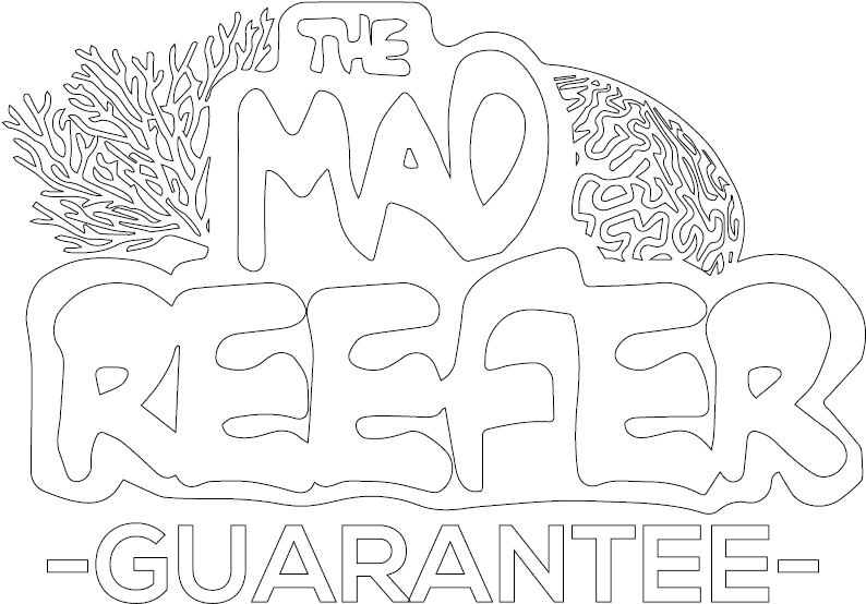 Lupine Collars (800x600), Png Download