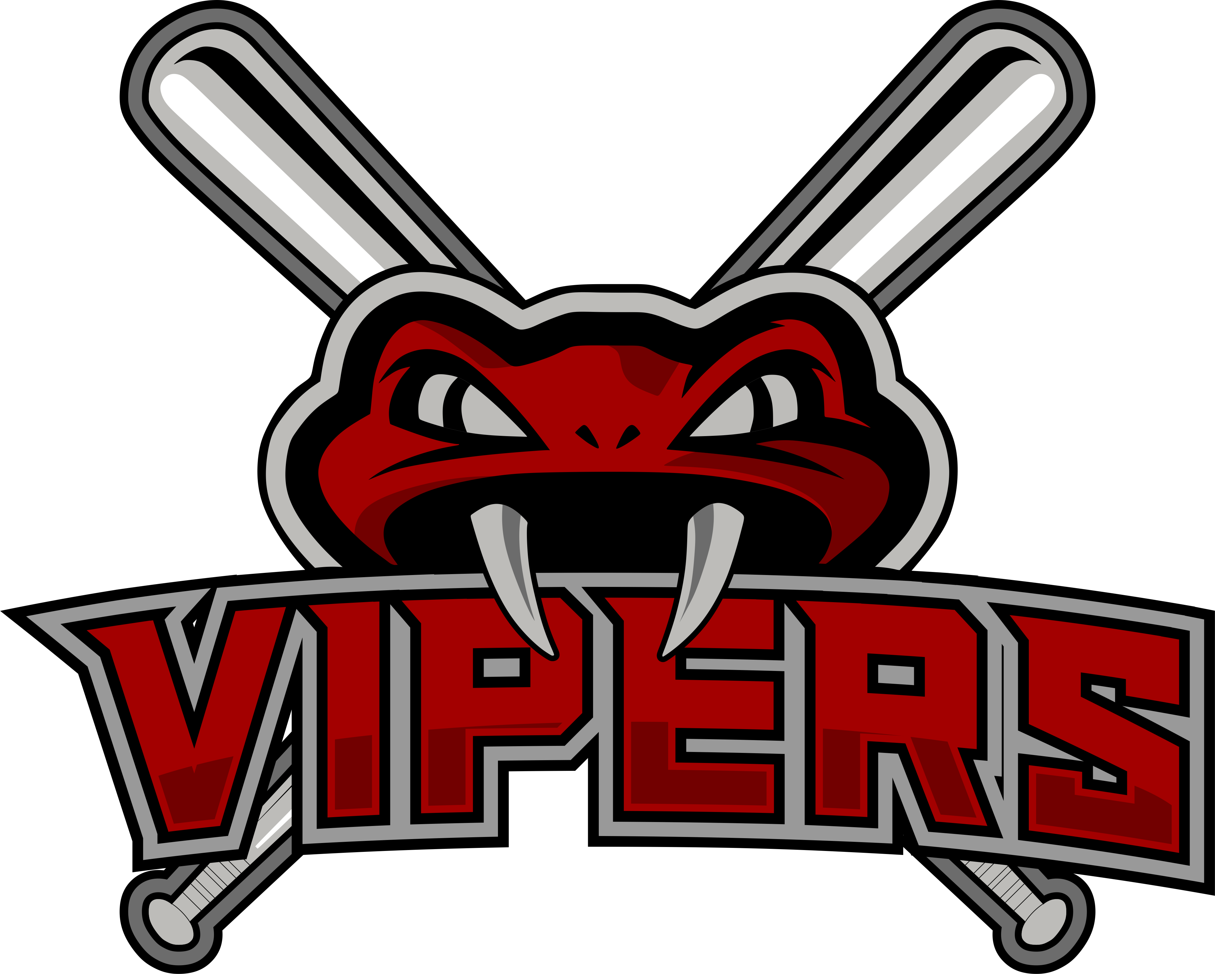 Mov Vipers - 8u - Select Division - Current Roster (3987x3198), Png Download