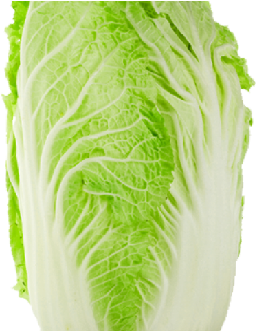 Chinese Cabbage (640x480), Png Download