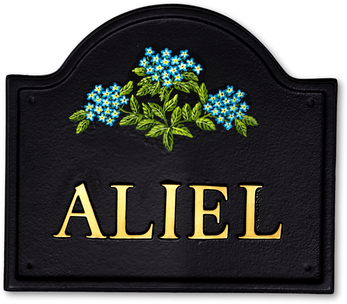 Forget Me Nots House Sign - Angel Mage (1400x1220), Png Download