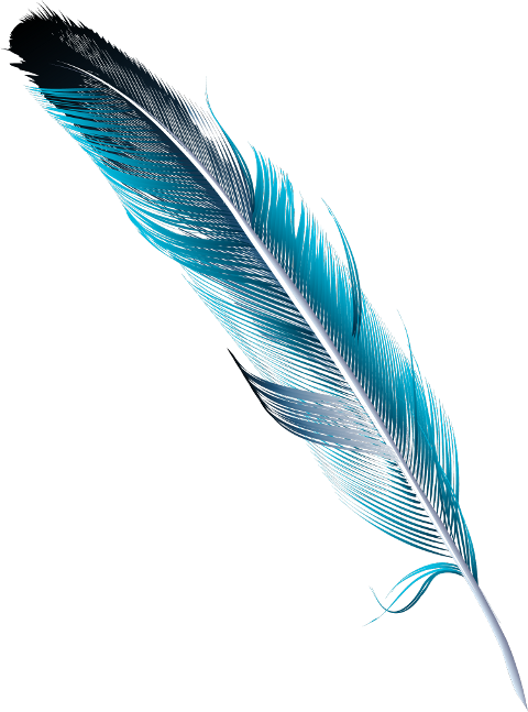 Feather Watercolor (480x647), Png Download
