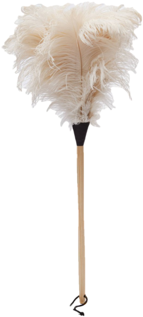 The Classic Clean - Cut Flowers (600x900), Png Download