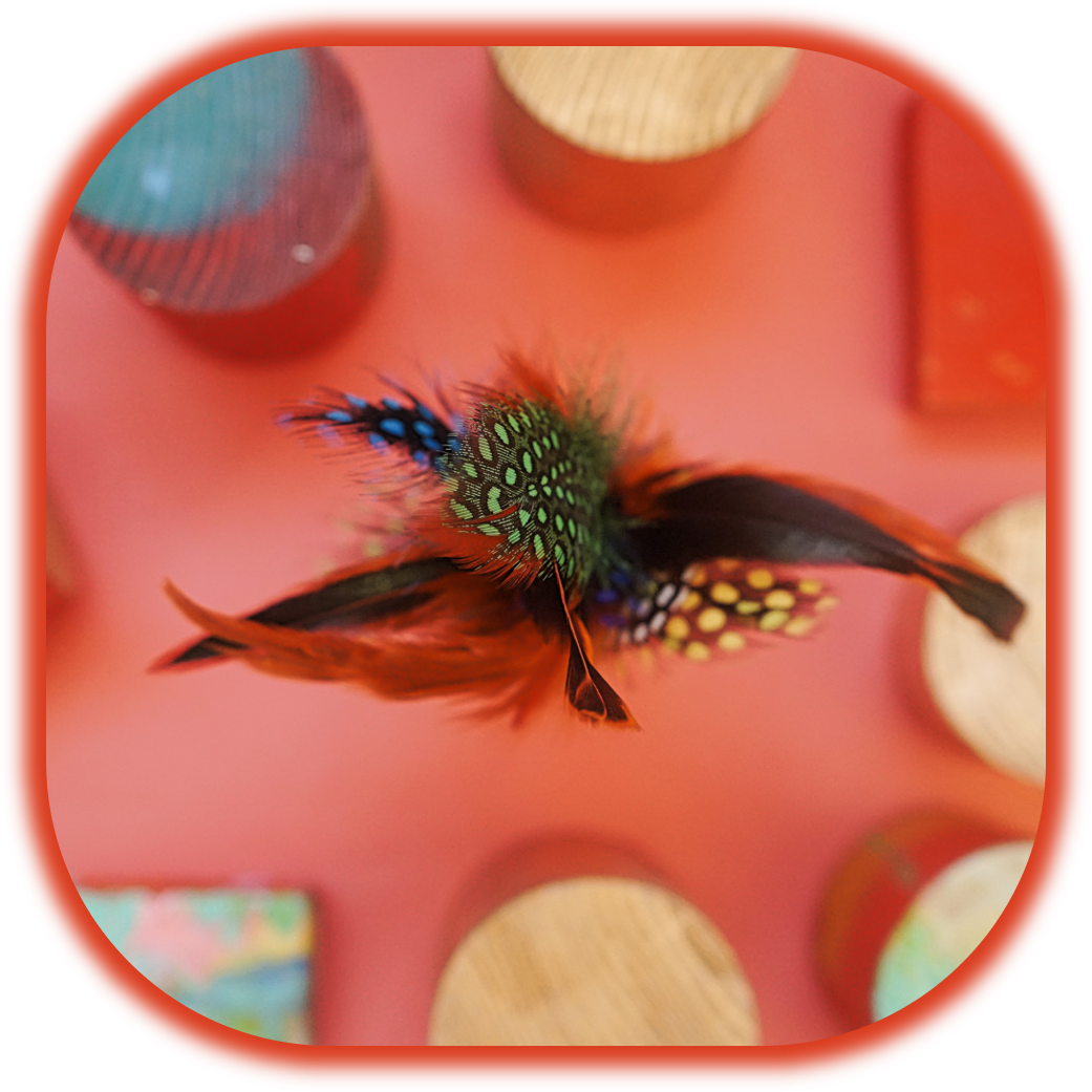 Adult Feather Tickler - Macro Photography (1041x1041), Png Download