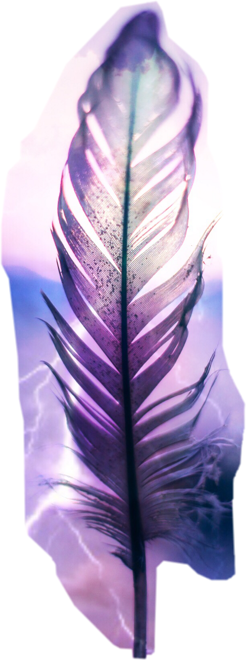 Wallpaper (480x1284), Png Download