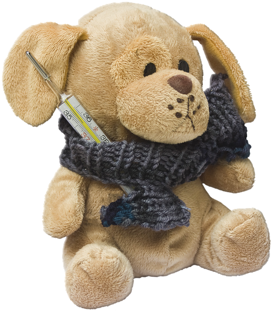 Stuffed Animal Png - Peluche Herido Png (603x720), Png Download