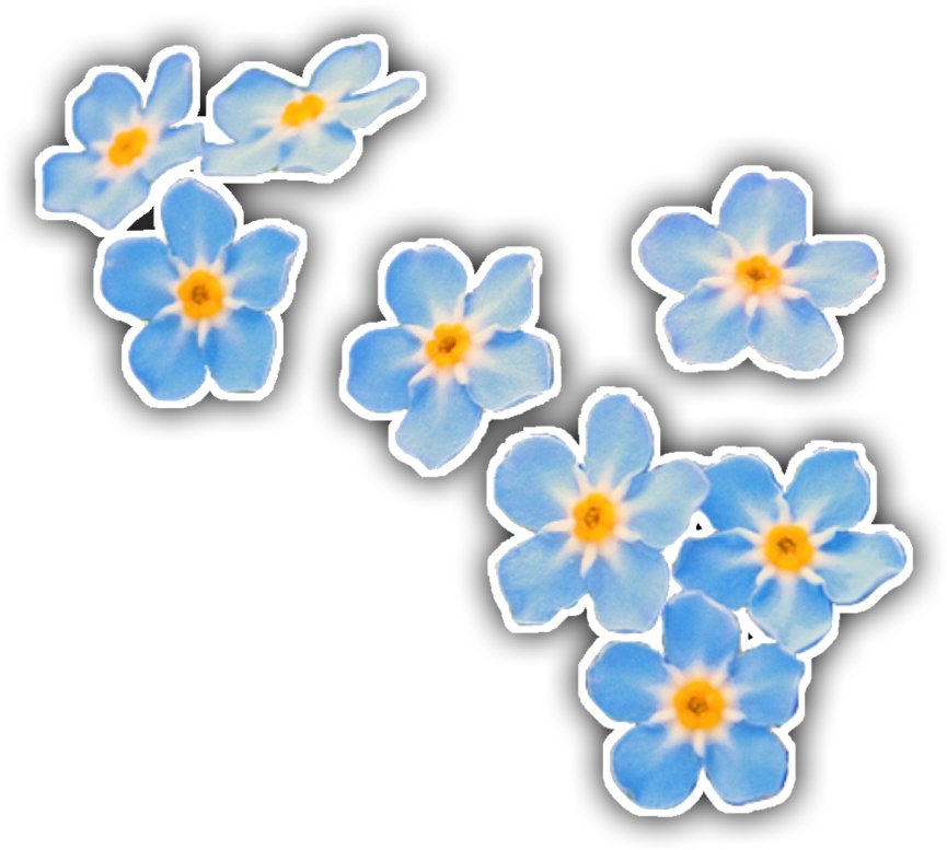 Forgetmenot Sticker (1024x1365), Png Download