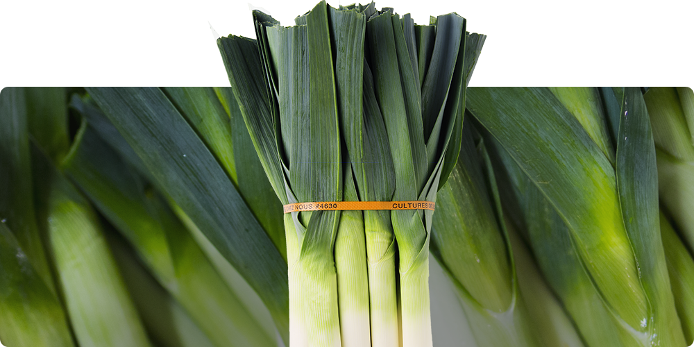 Whole Leeks - Leek (1000x500), Png Download
