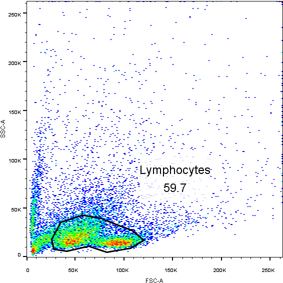 How To Gate The Lymphocytes In A Mouse Spleen Mononuclear - Spleen Lymphocytes Facs (628x618), Png Download