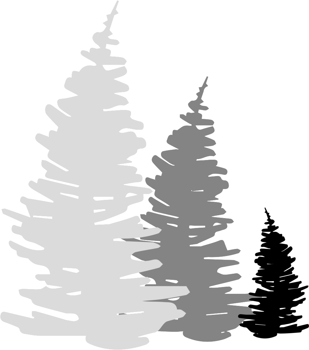 Logo-trees - Christmas Tree (1000x1133), Png Download