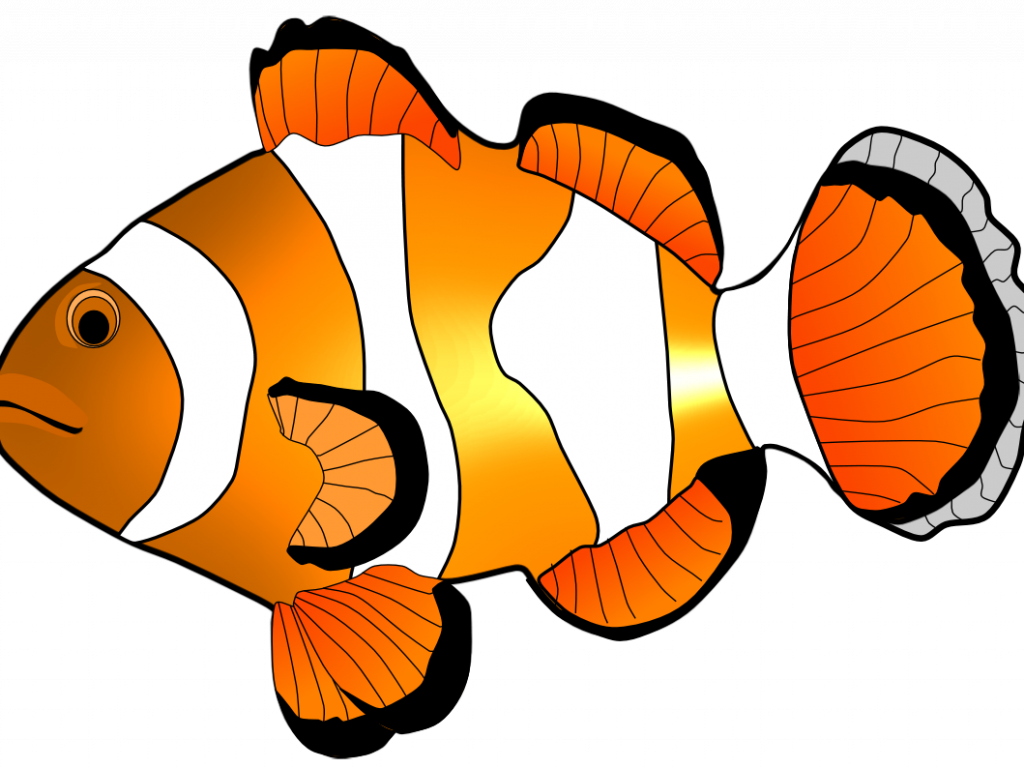 Peaceful Design Ideas Clip Art Fish Clipart Free - Clownfish Clipart Black And White (1024x768), Png Download