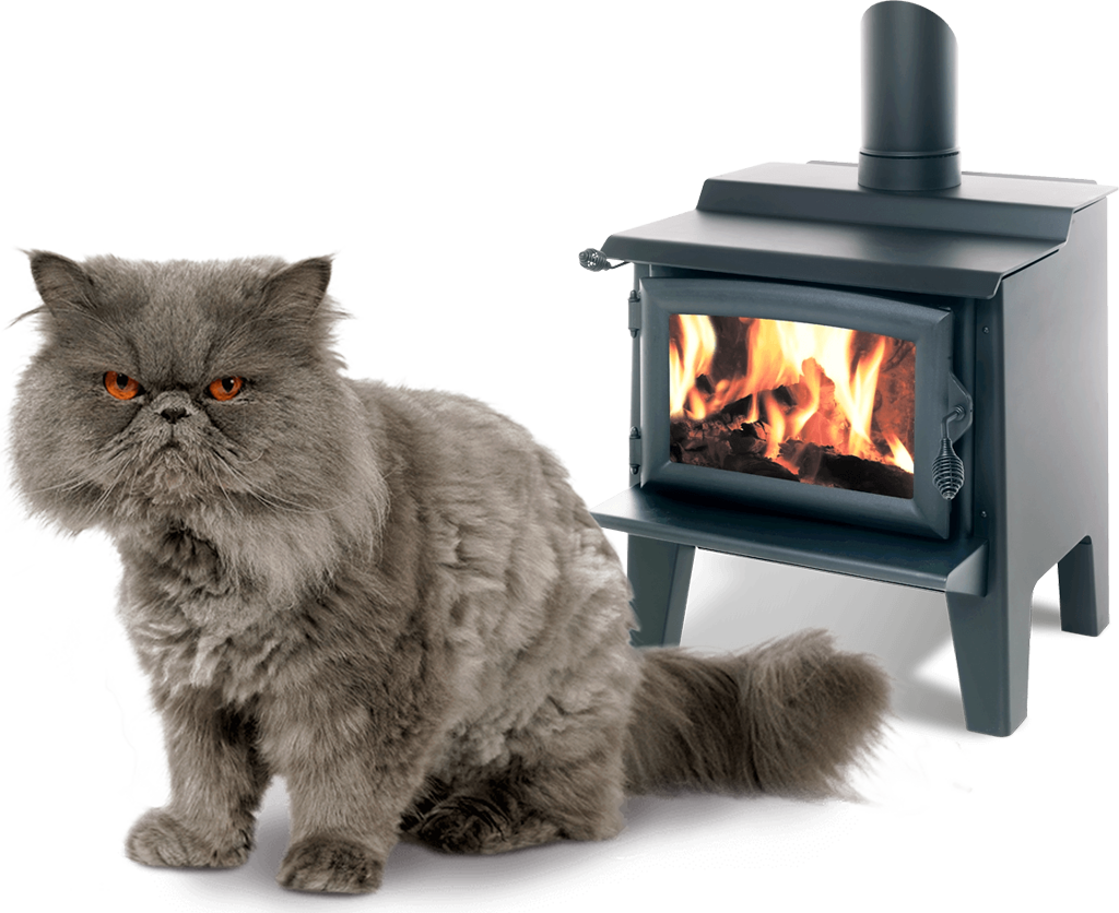 And Good Burning Technique Is Key You'll Be Warmer, - Cat (1024x836), Png Download