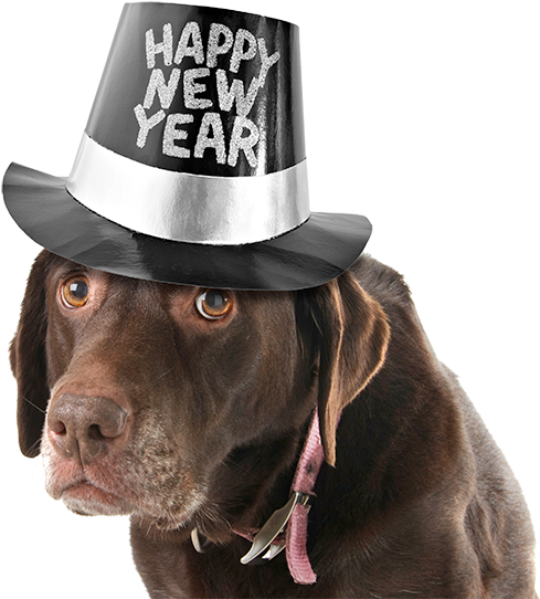 The Holidays Are Winding Down And The New Year Is Just - New Year Baby (650x668), Png Download