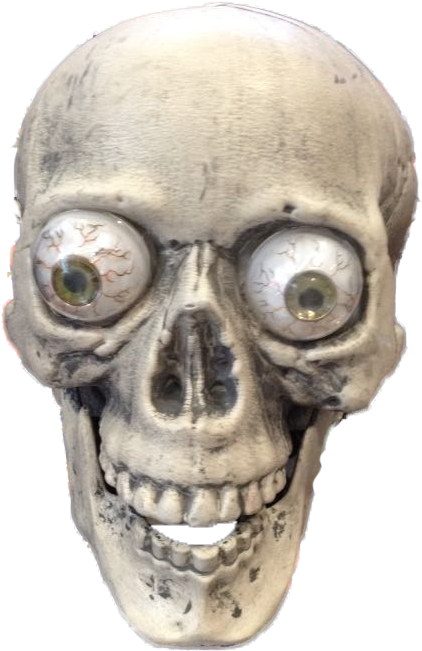 Objectplastic Halloween Skull - Skull (720x960), Png Download