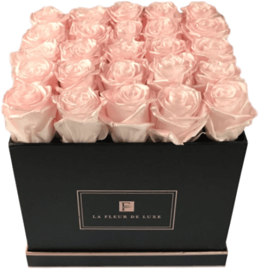 Garden Roses (600x700), Png Download