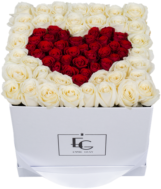 Garden Roses (640x640), Png Download