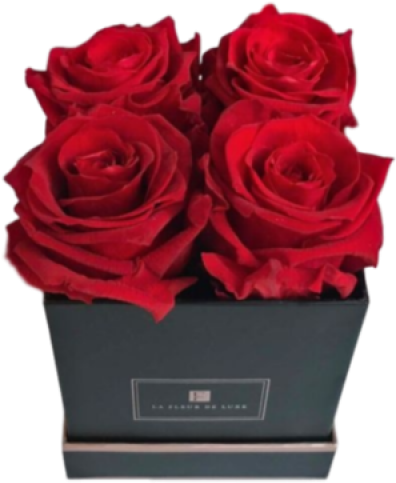 Garden Roses (600x700), Png Download