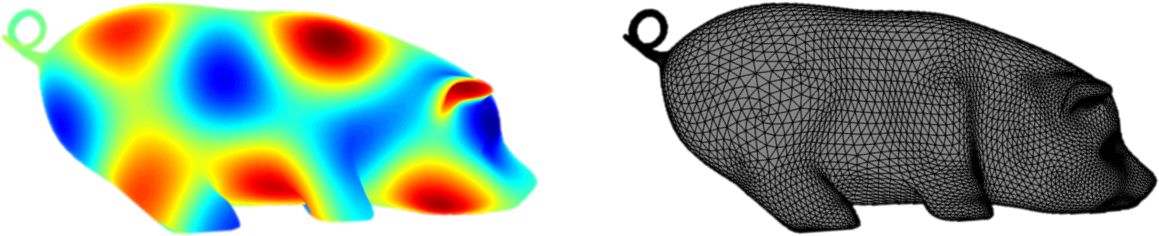An Eigenfunction Of The Laplacian On A Pig-shaped Surface - Macro Photography (1200x300), Png Download