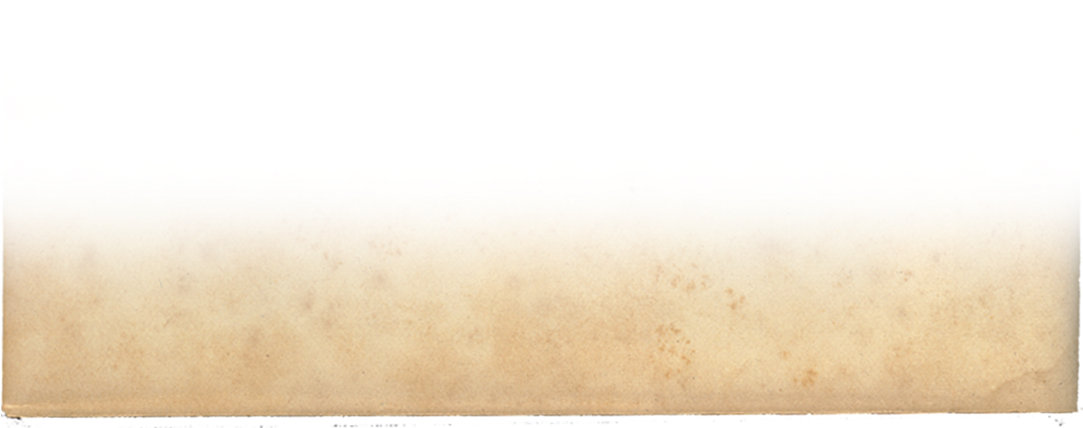 Above - Wood (1200x486), Png Download