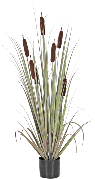 Vase (588x588), Png Download