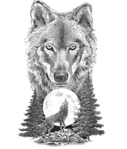 Images Drawings Of Wolves Howling At The Moon In Pencil  Wolf Howling At  Moon Cartoon  894x894 PNG Download  PNGkit