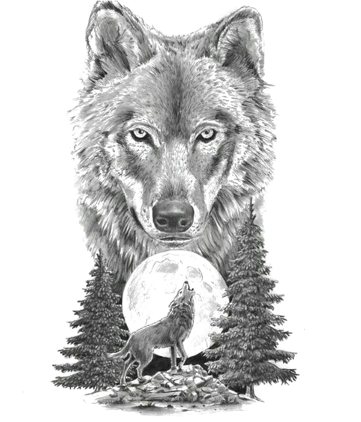 Gray Sketch Art Tattoo Artist Motion Wolf Clipart - Wolf And Moon Tattoo (564x611), Png Download