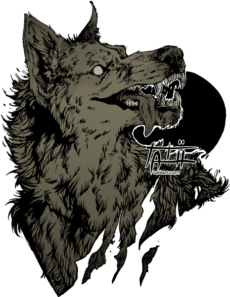 Shirts - Werewolf Drawing (500x630), Png Download