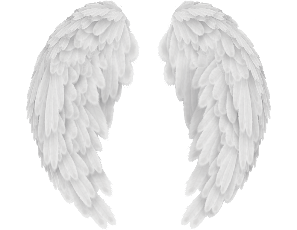 Angels In America Wings - Baby Angel Wings Png (1000x767), Png Download