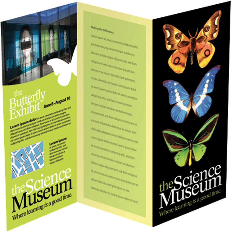 Brochures - Lycaenid (800x773), Png Download