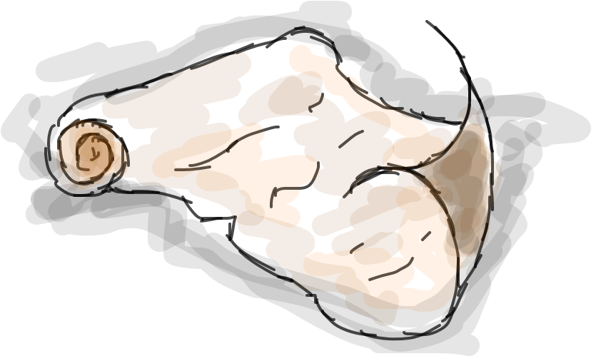 Pergaminho - Illustration (1020x608), Png Download