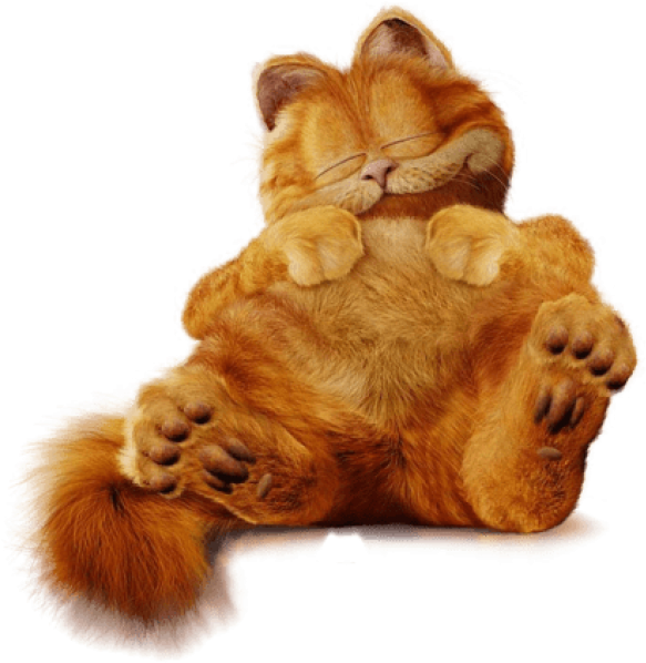 Free Png Download Cute Garfield Ture Clipart Png Photo - Garfield The Movie Png (850x638), Png Download