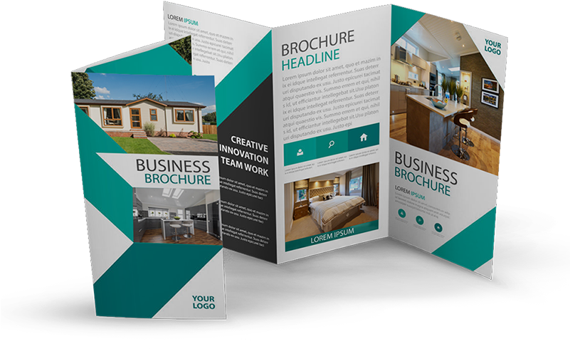 Brochures Parkevolutionua 2017 06 22t18 - Brochure (800x557), Png Download