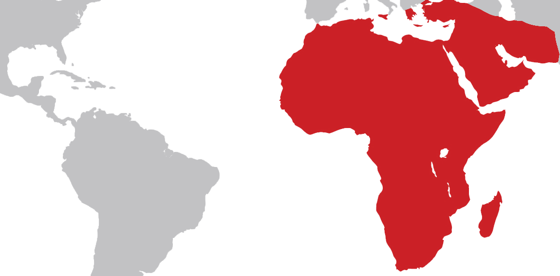 Europe Middle East Africa Map In Grey (1150x567), Png Download