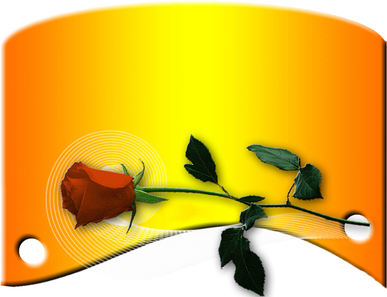 Pergaminho - Illustration (800x600), Png Download