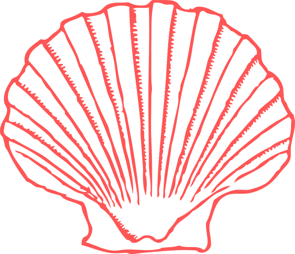 Shell Clip Art (600x517), Png Download