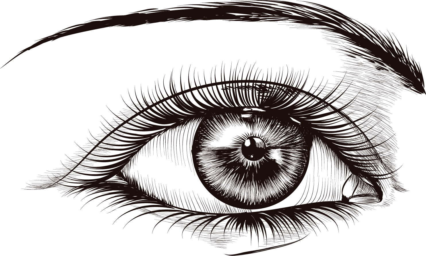 Lash Extension Products Semi Lashes Real Lash Extensions - 睫毛 卡通 (1484x892), Png Download