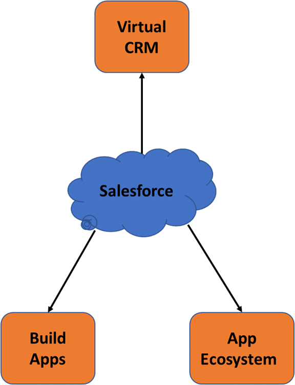 What Is Salesforce Lightning - Respiratory System Diagram For Kids (576x752), Png Download