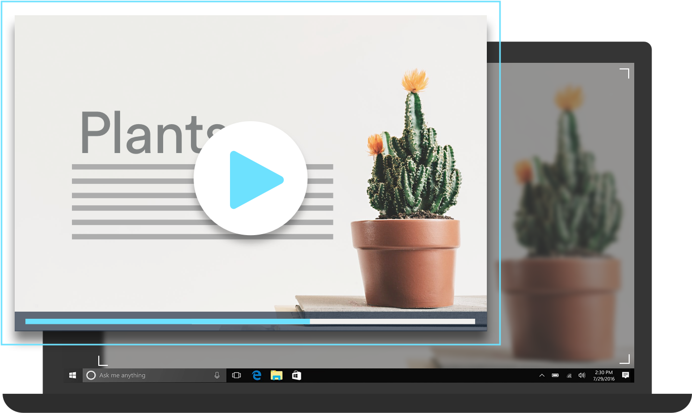 Screen Recorder For Windows - Houseplant (1611x1024), Png Download