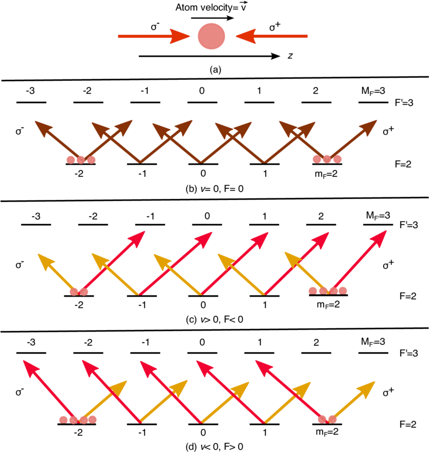 One Dimensional Schematic Of Polarization Gradient - Diagram (850x905), Png Download
