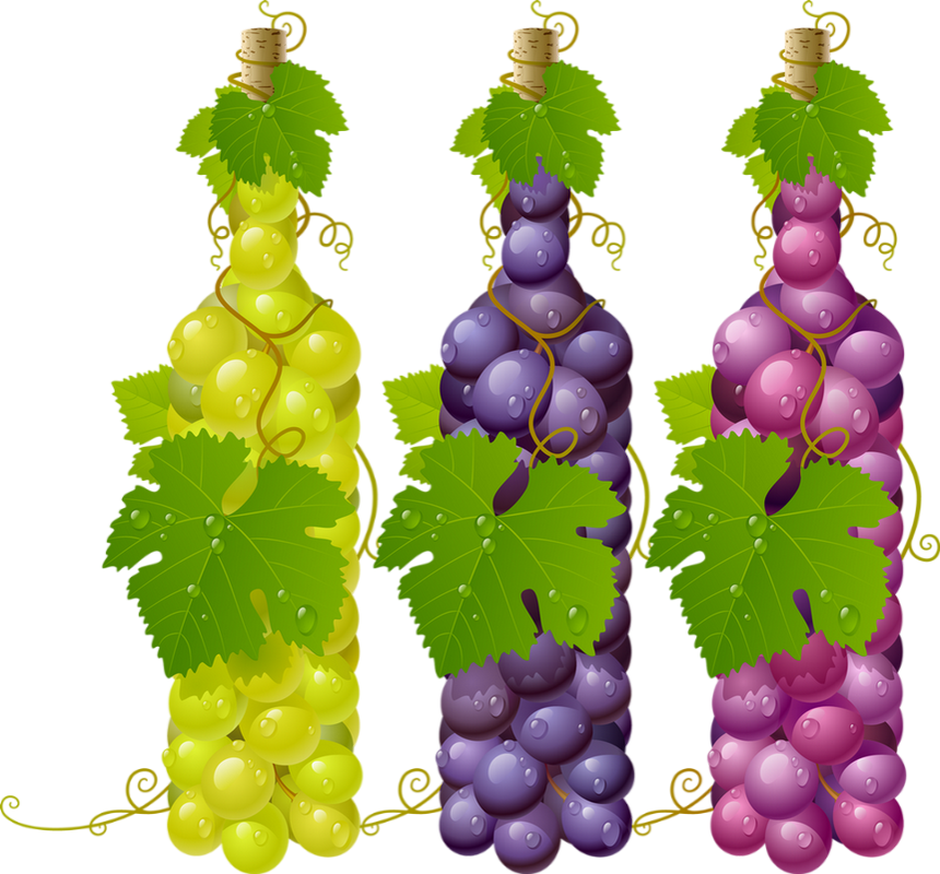 Grapes Vector (860x800), Png Download