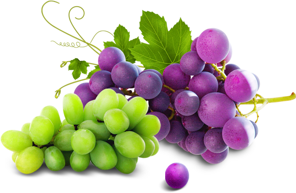 Red Wine Juice Grapes - Grape (591x591), Png Download