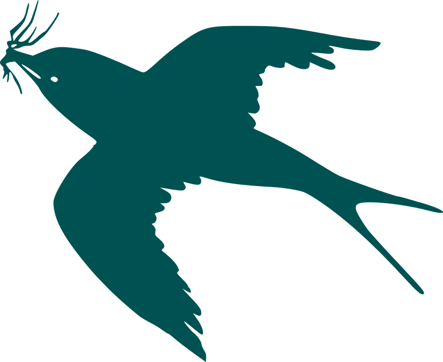 Blue Vector Free On Dumielauxepices Net - Bird Flying Cartoon Transparent (880x720), Png Download