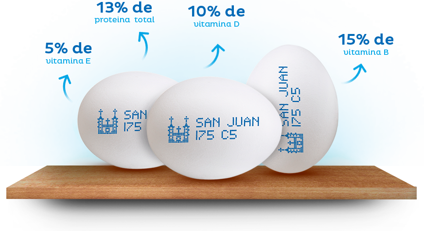 Huevo San Juan Vector (872x476), Png Download