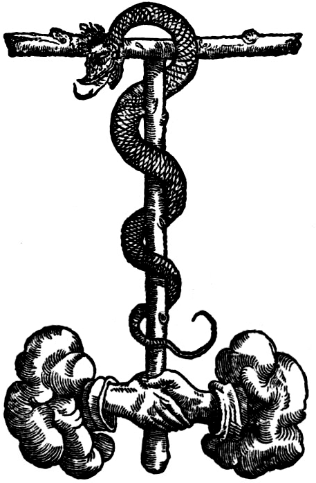 Scribd Collections - Illustration (489x733), Png Download