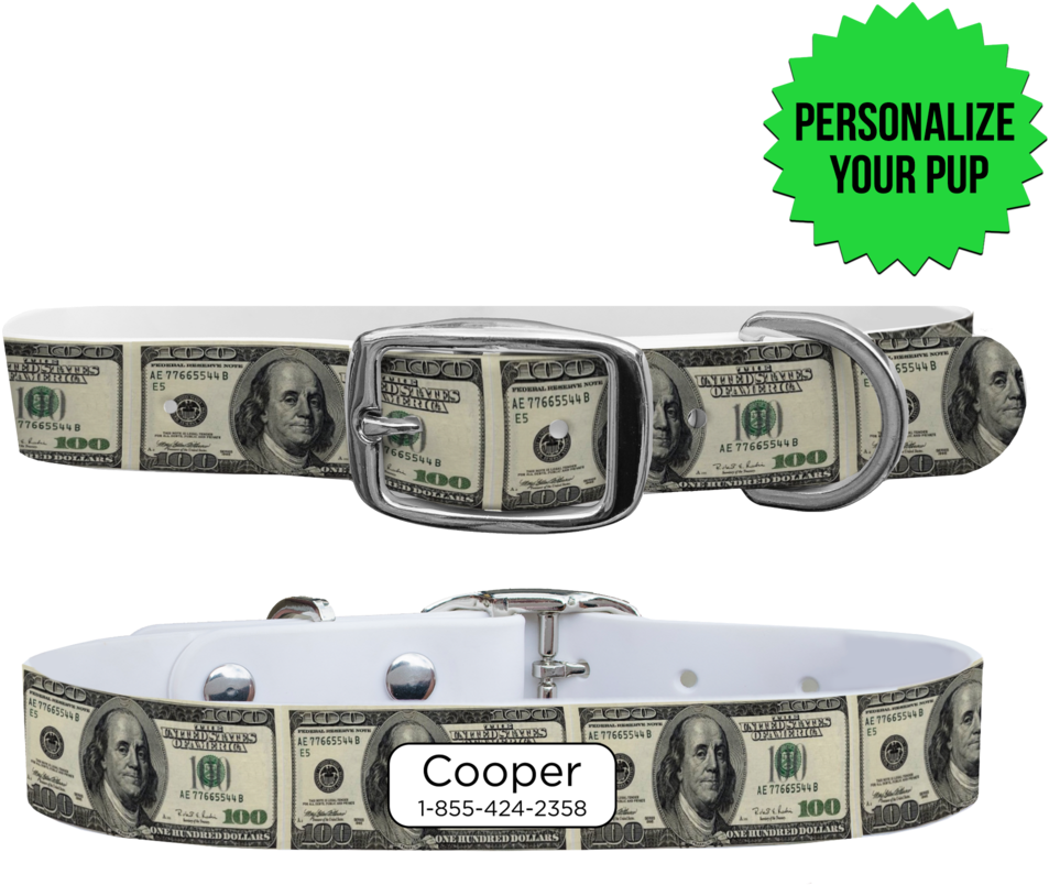 100 Dollar Bill Dog Collar - Dog Collar (1024x1024), Png Download