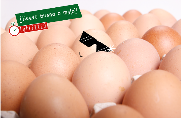 Aunque Aún No Estéis Familiarizados Con La Actividad - Egg (800x400), Png Download