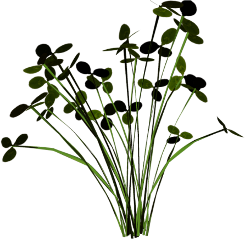 Grass Groundcover Scenery Terrieasterly - Buttercup (1024x976), Png Download