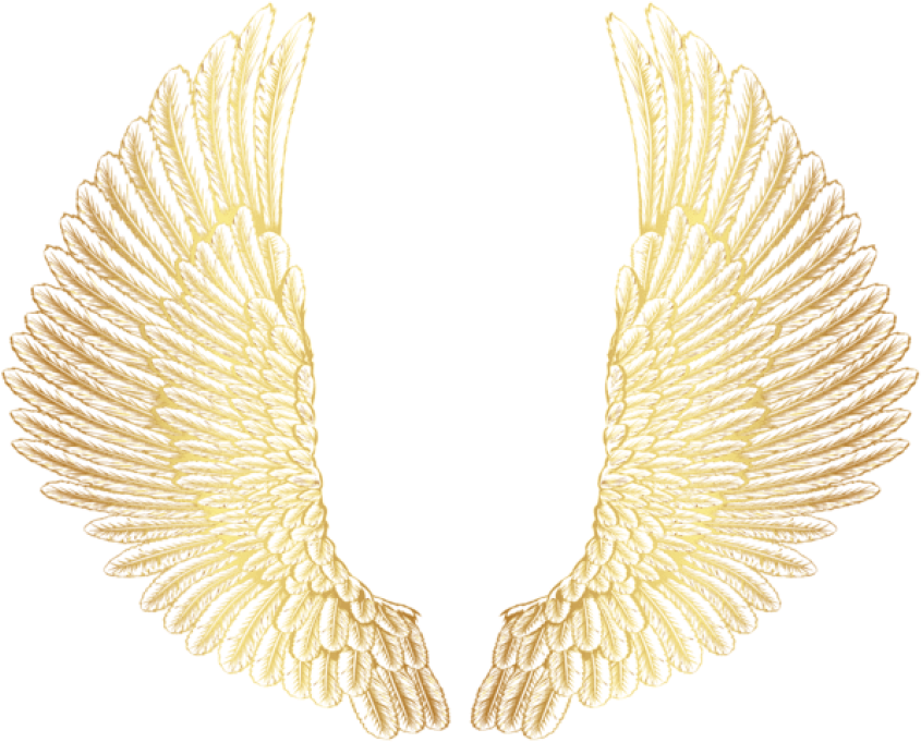 Download Gold Wings Clipart Png Photo - Golden Wings Png (850x695), Png Download