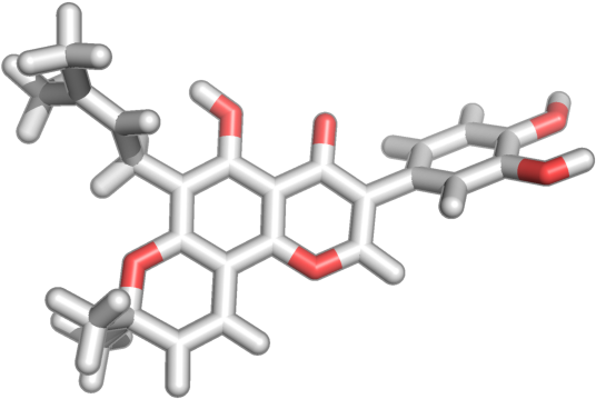 Bmse001284 - Barbed Wire (800x600), Png Download